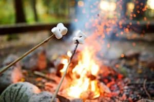 campfire with roasting marshallows